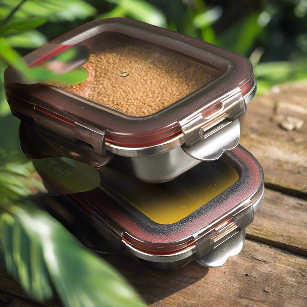 Lunch box rectangle