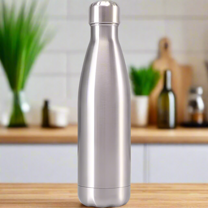 bouteille isotherme argent